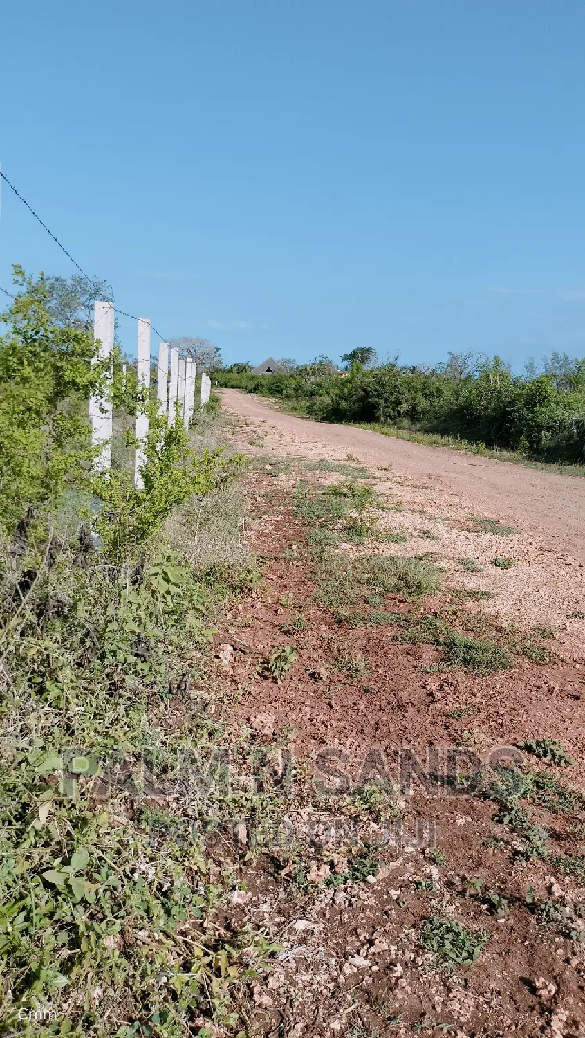 Premium Quarter Acre Plots in Galu: Ideal for Investment & Development in Ukunda
