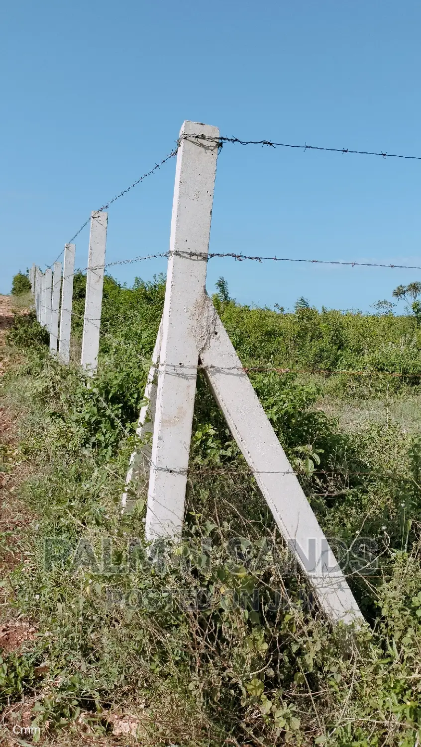 Premium Quarter Acre Plots in Galu: Ideal for Investment & Development in Ukunda