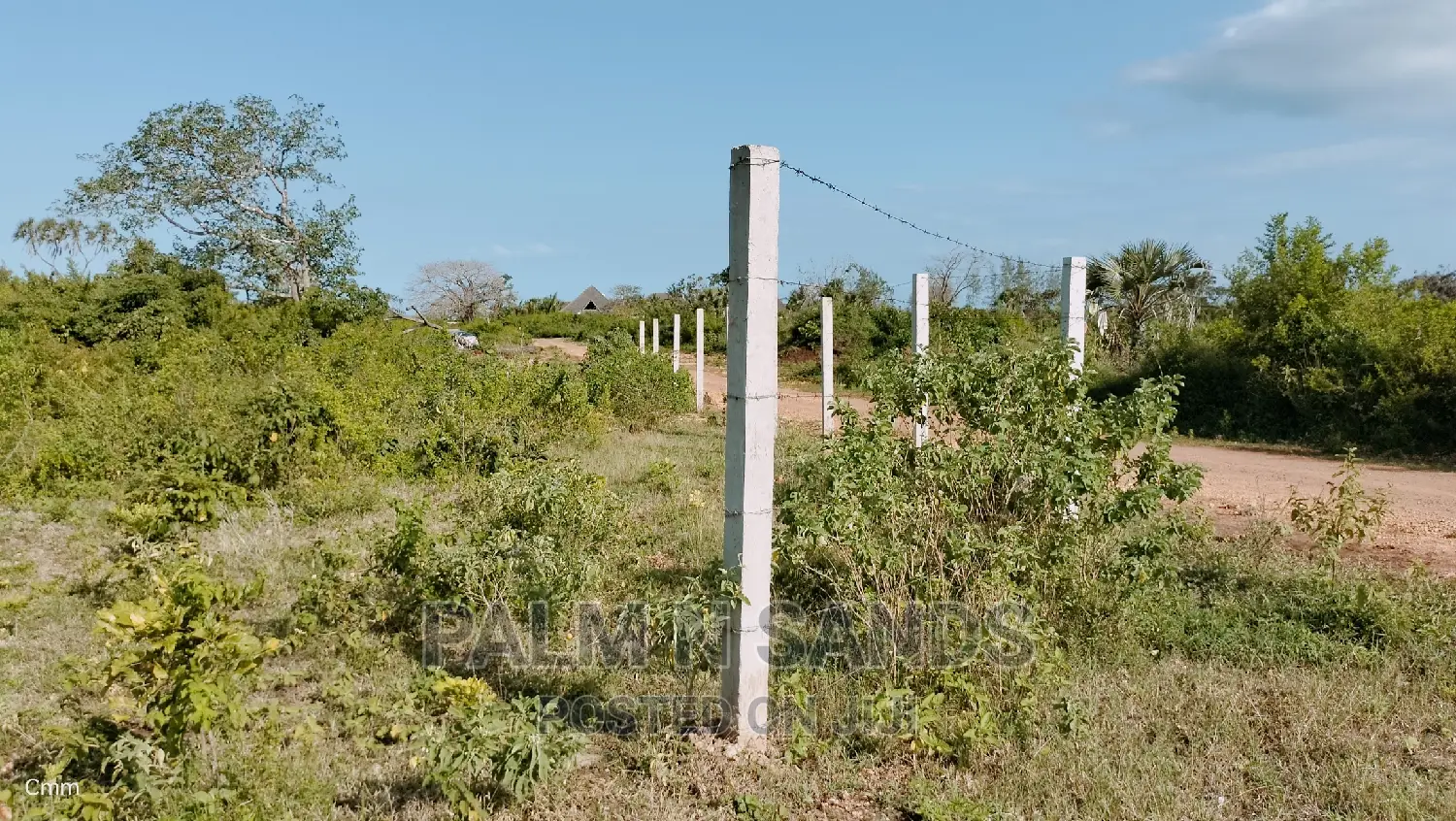 Premium Quarter Acre Plots in Galu: Ideal for Investment & Development in Ukunda