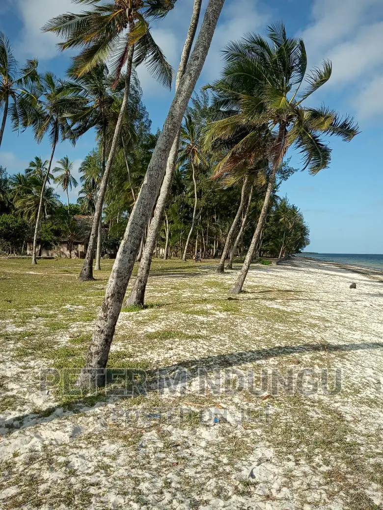 Prime Beach Land: 4.4 Acres Available in Kikambala in Kikambala