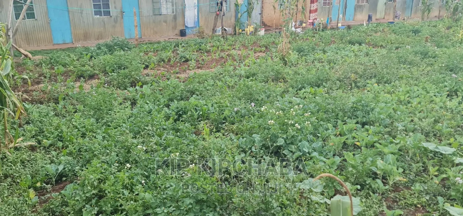 Half Acre Plot for Sale in Kapsoya Estate, Eldoret in Kapsoya