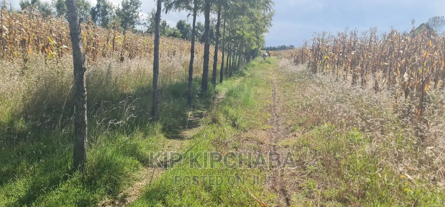 1⁄4 Plot for Sale in Chepkanga Before Mwisho Wa Lami in Kimumu