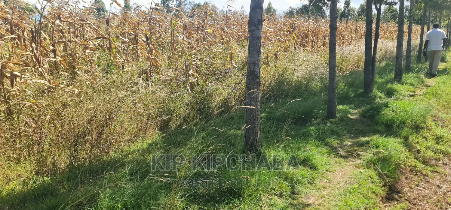 1⁄4 Plot for Sale in Chepkanga Before Mwisho Wa Lami in Kimumu