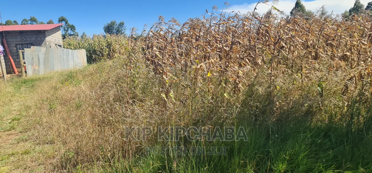 1⁄4 Plot for Sale in Chepkanga Before Mwisho Wa Lami in Kimumu