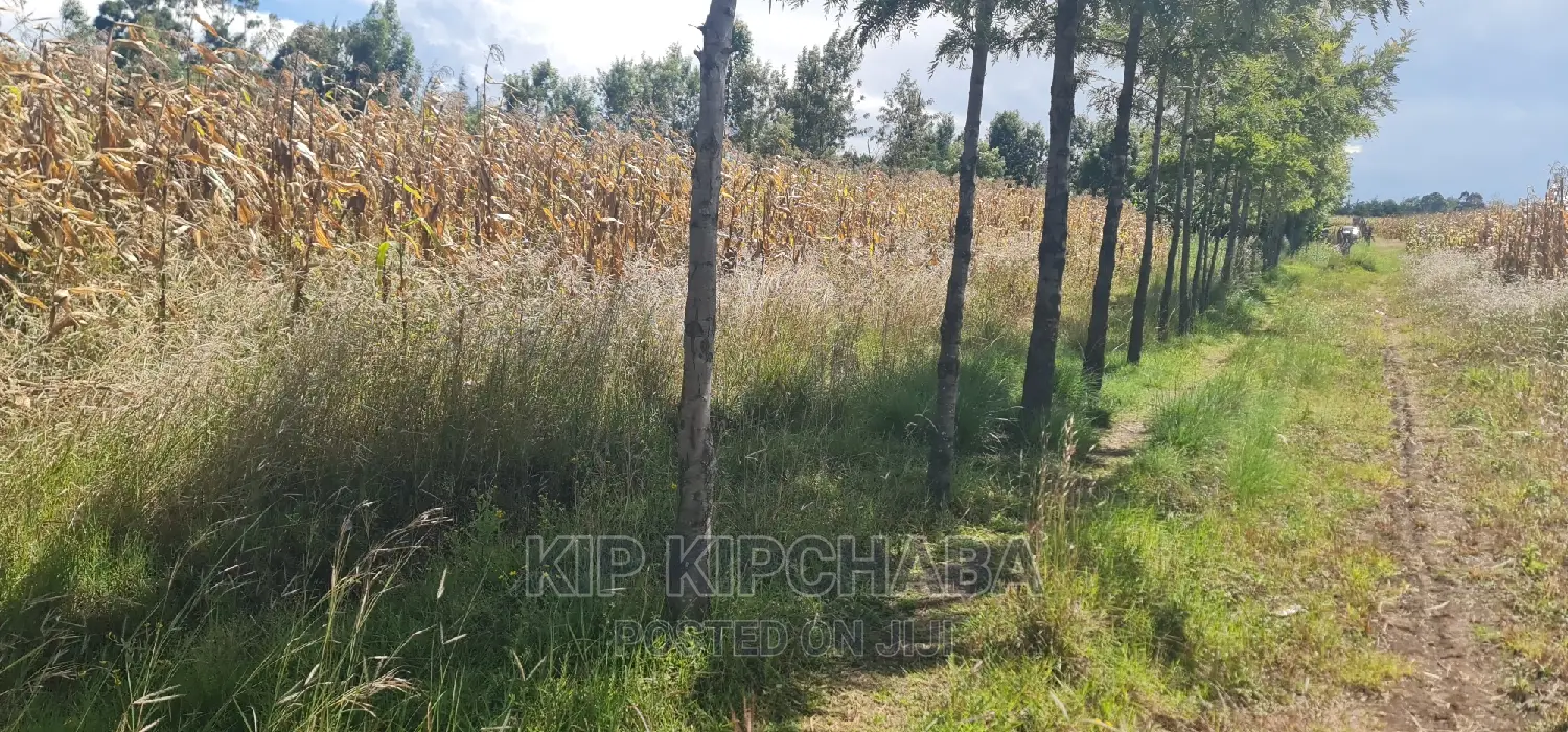 1⁄4 Plot for Sale in Chepkanga Before Mwisho Wa Lami in Kimumu