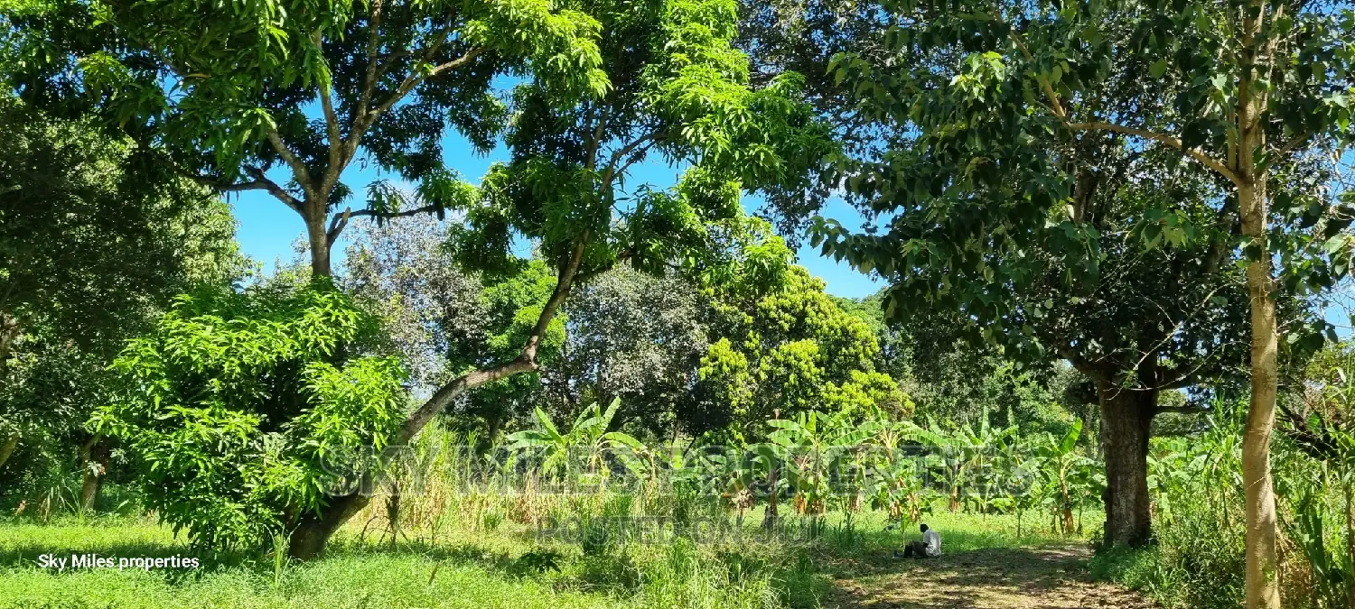 Mtwapa's 25-Acre Land - Ideal for Commercial and Residential in Mtwapa