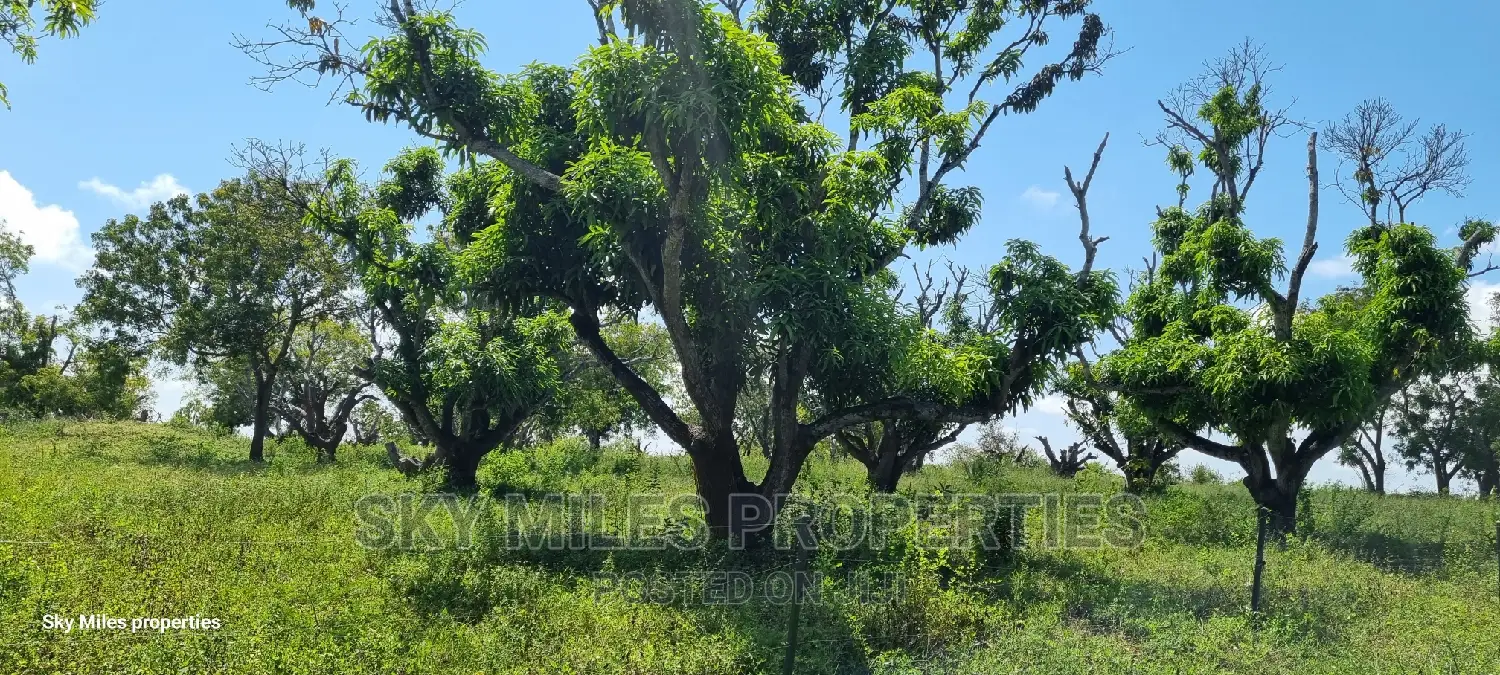 Mtwapa's 25-Acre Land - Ideal for Commercial and Residential in Mtwapa