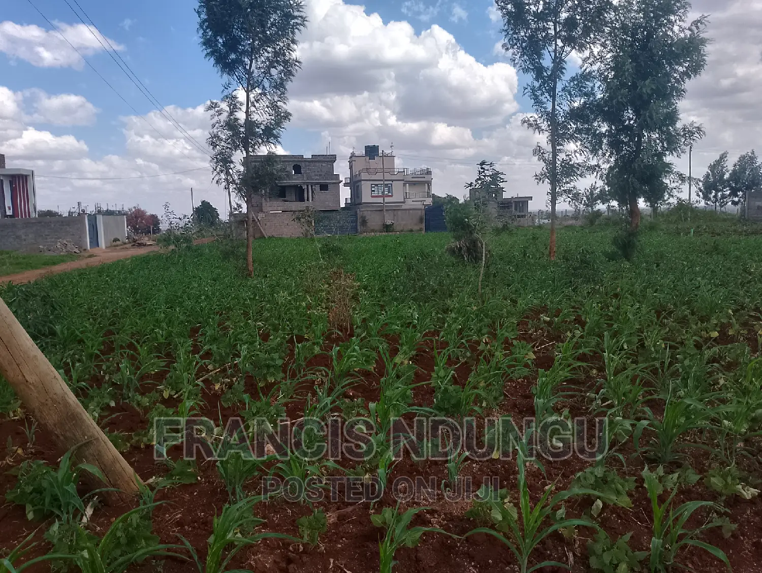 Kiambu Town Residential Plots - 40x80 Plot Sizes Available in Tinganga