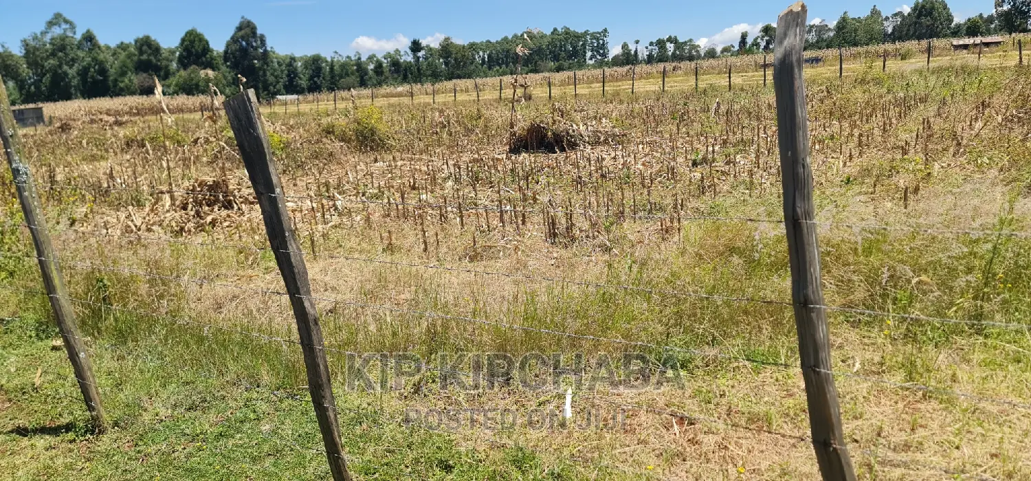 Affordable 1⁄4 Acre Plot near Highway - Chepkanga Eldoret in Kimumu