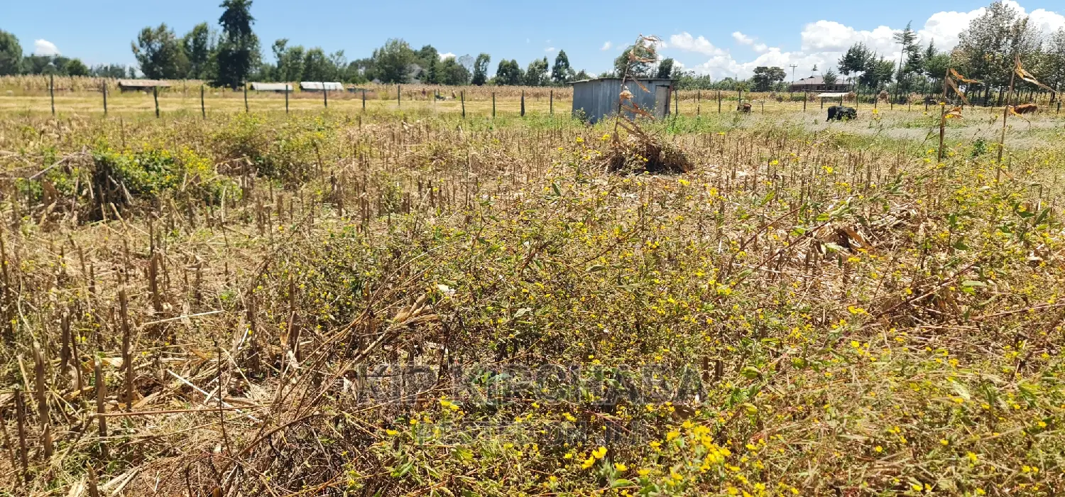 Affordable 1⁄4 Acre Plot near Highway - Chepkanga Eldoret in Kimumu