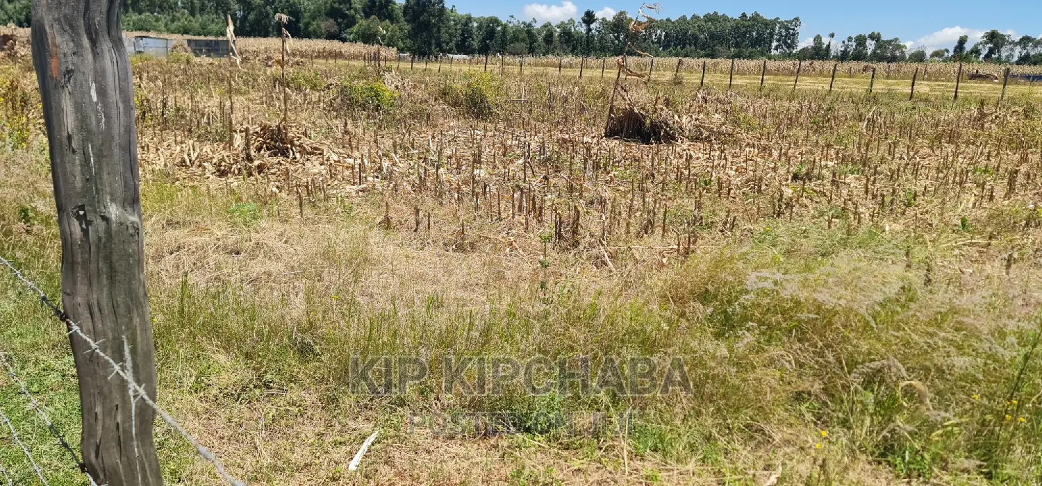 Affordable 1⁄4 Acre Plot near Highway - Chepkanga Eldoret in Kimumu