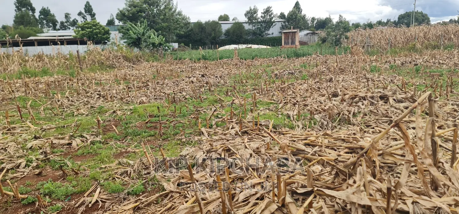 Plots for Sale Kiplombe Opposite New MTRH in Eldoret in Kamukunji