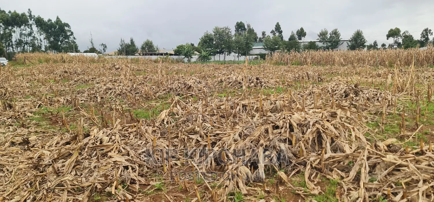 Plots for Sale Kiplombe Opposite New MTRH in Eldoret in Kamukunji