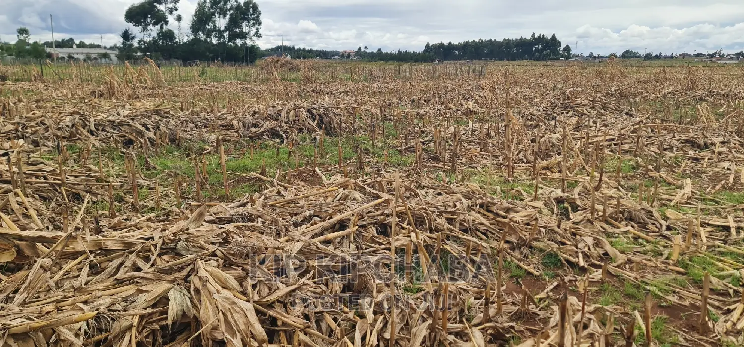 Plots for Sale Kiplombe Opposite New MTRH in Eldoret in Kamukunji