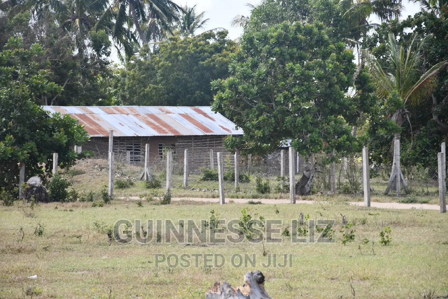 Discounted Tezo Title in Kilifi County Available Now in Tezo
