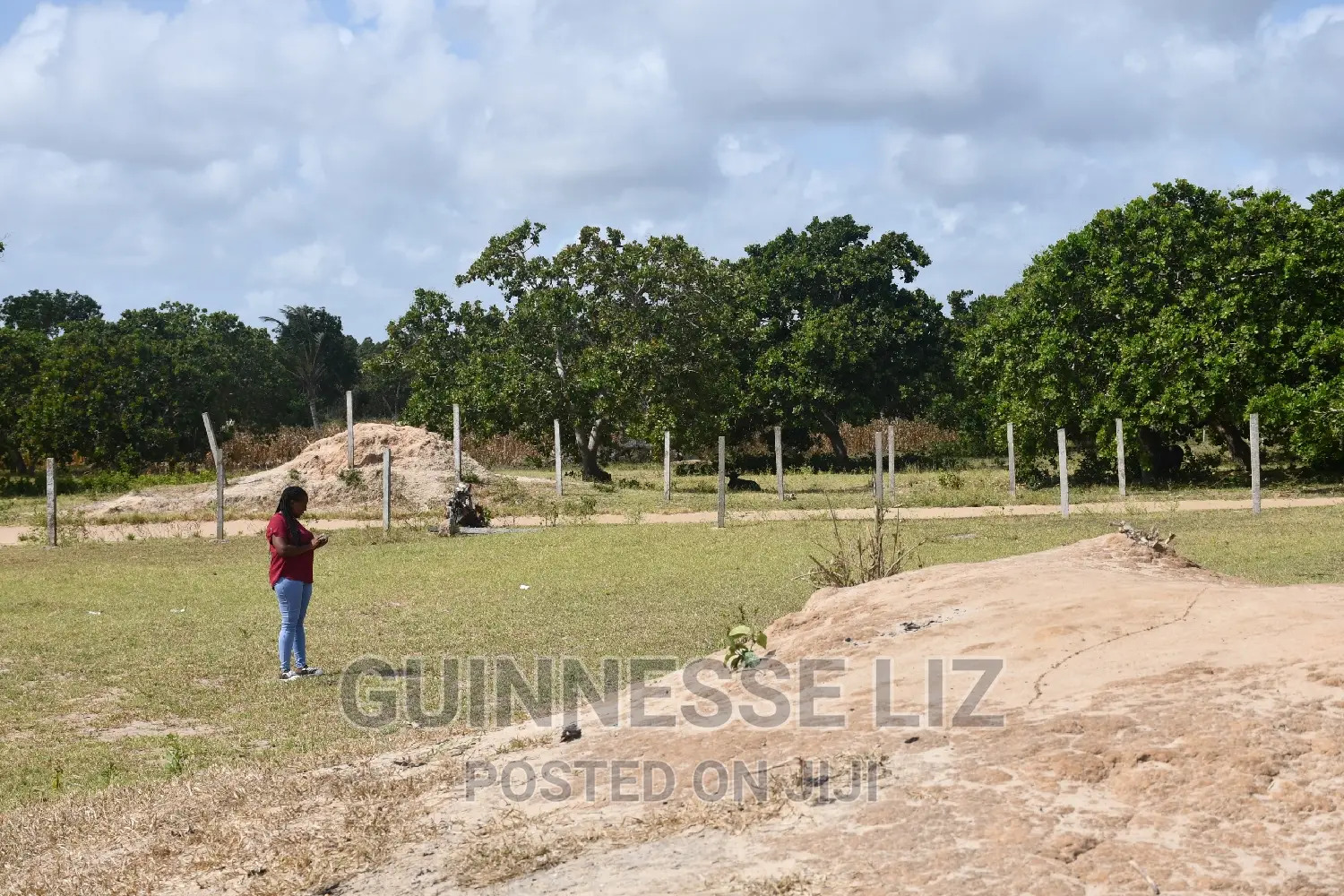 Discounted Tezo Title in Kilifi County Available Now in Tezo