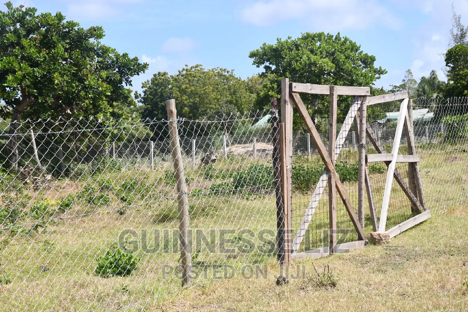 Discounted Tezo Title in Kilifi County Available Now in Tezo
