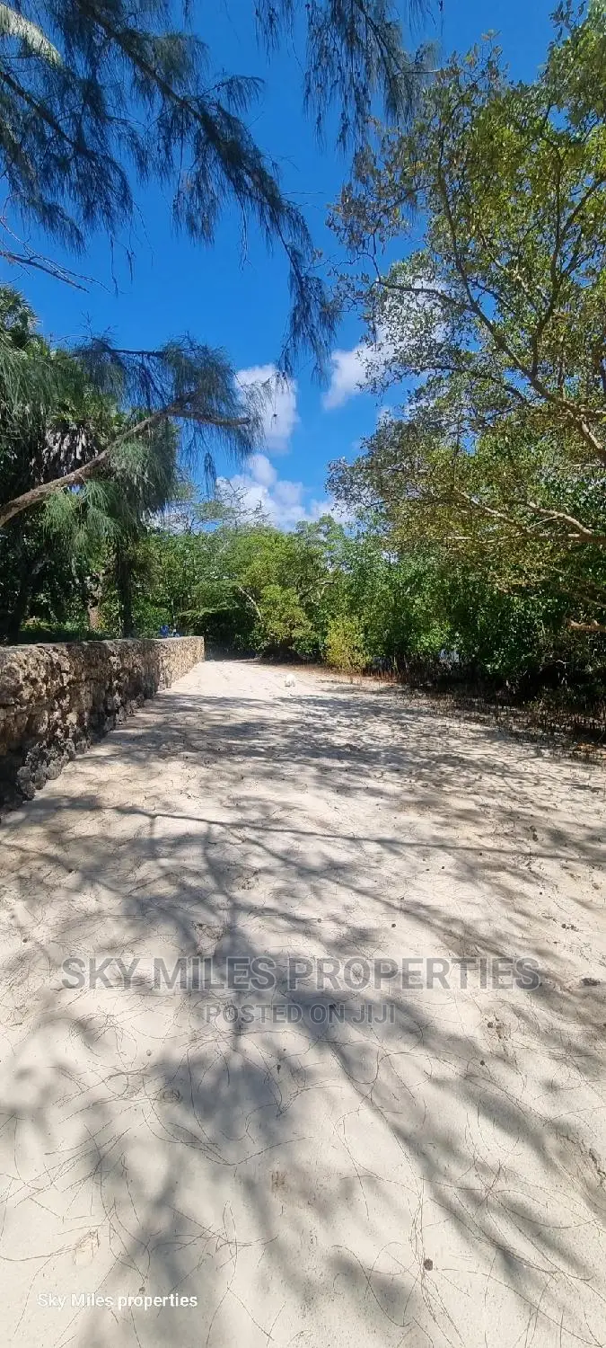 Serene Beach Plot Purchase: 1/2 Acre & 1/4 Acre Plots on Offer in Shanzu