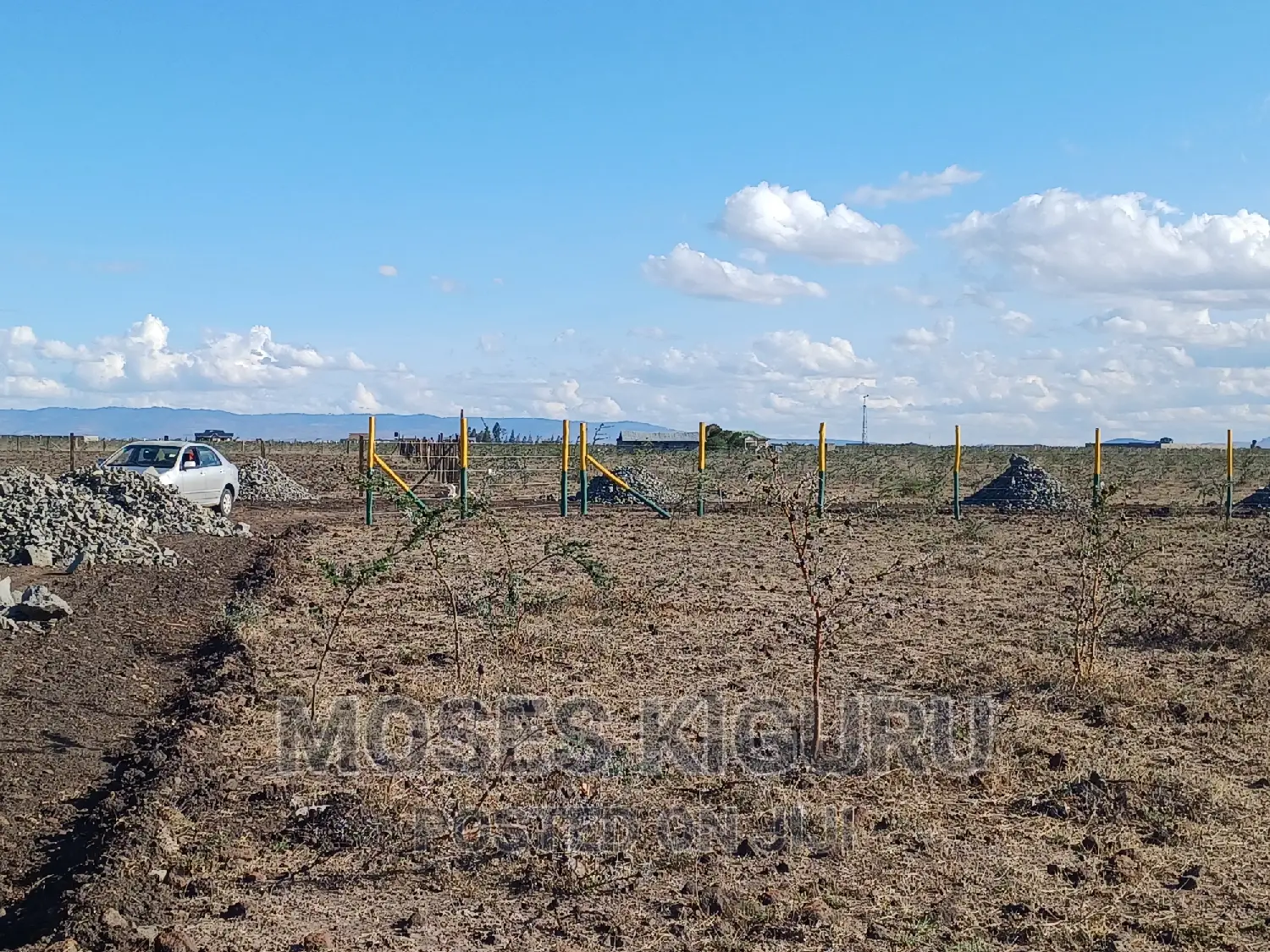 Mwalimu Farm, 50 X 100 Plots in Ruiru