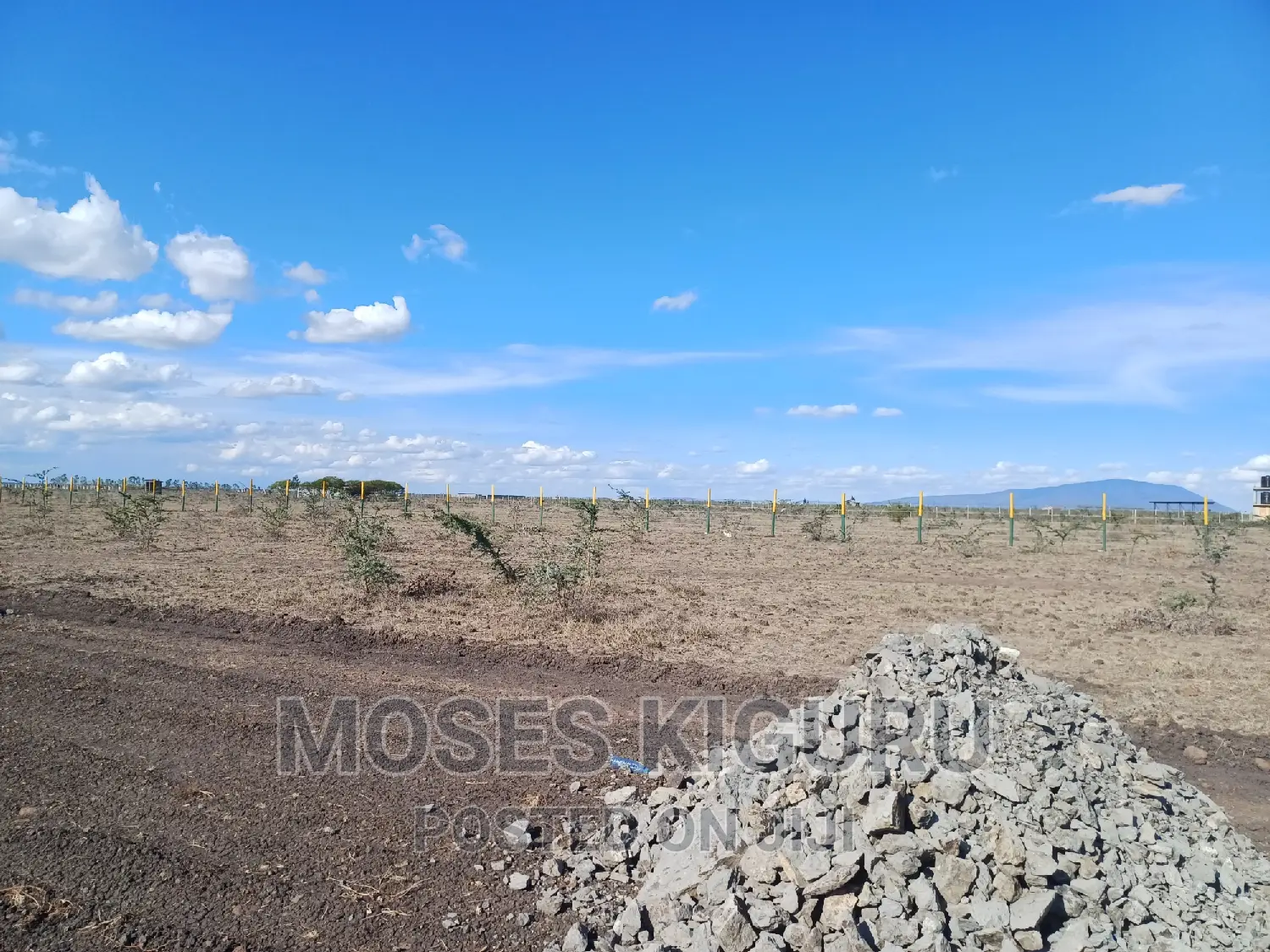 Mwalimu Farm, 50 X 100 Plots in Ruiru
