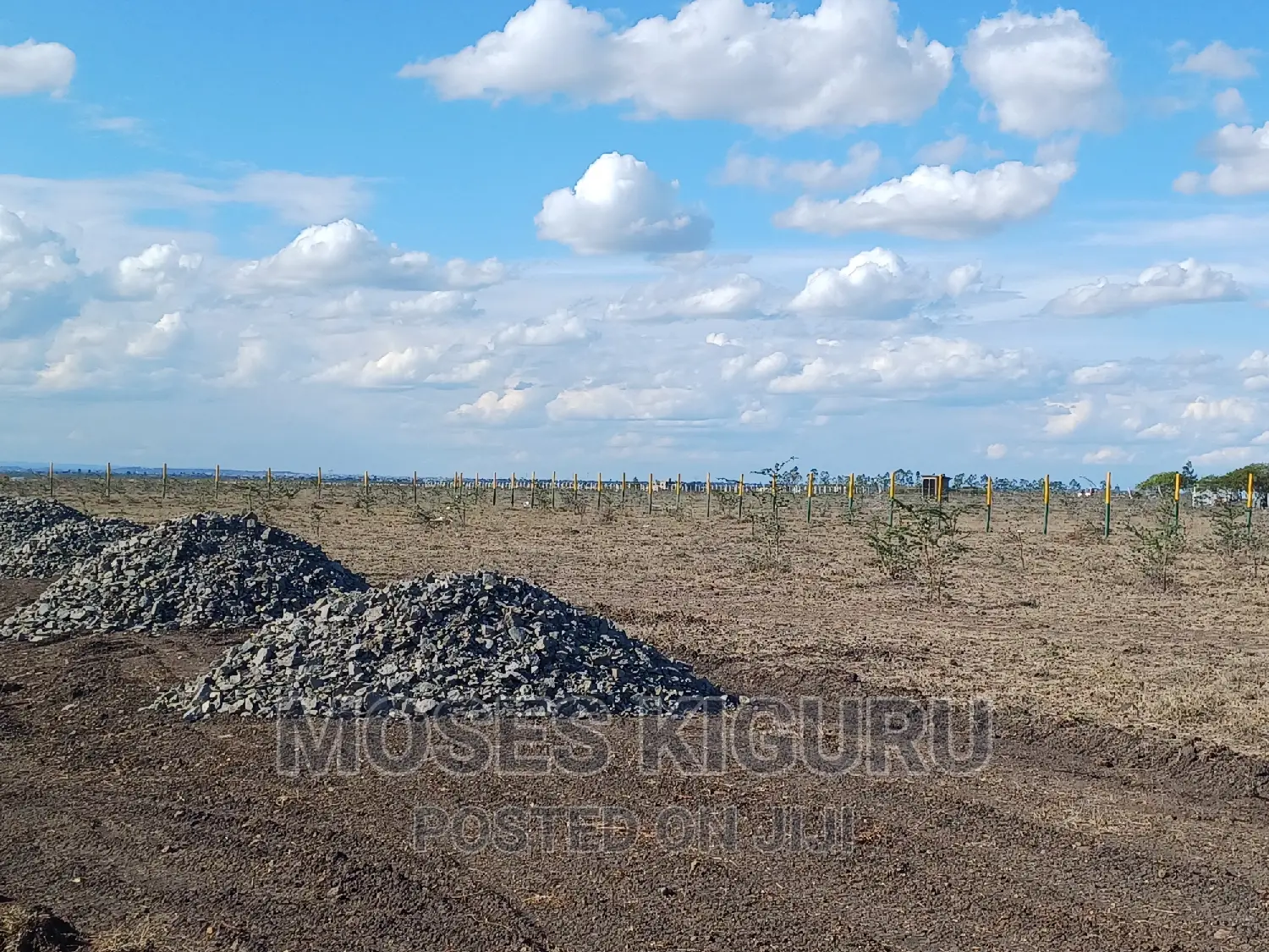 Mwalimu Farm, 50 X 100 Plots in Ruiru