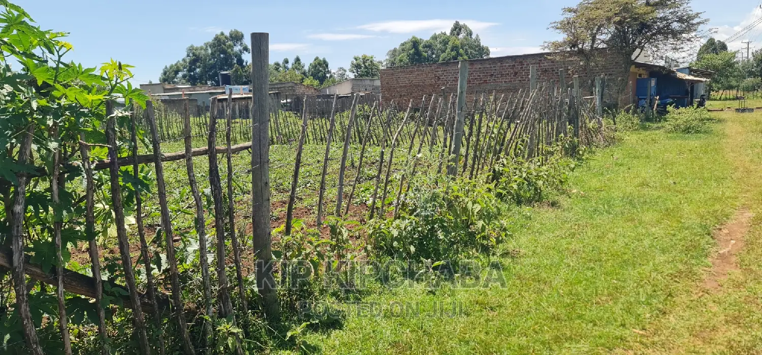 2-Acre Chepkoilel Land: Adjacent to Eldoret Highway for Sale in Kimumu