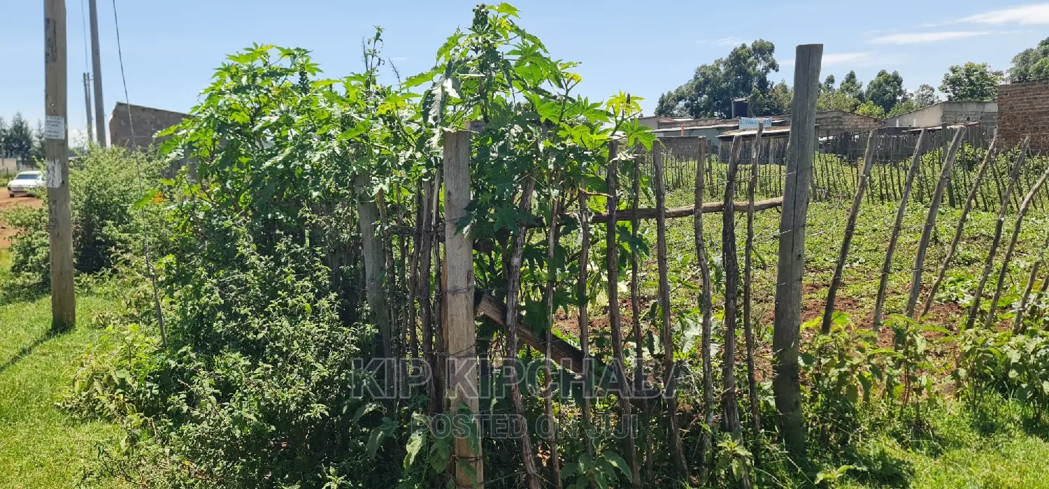2-Acre Chepkoilel Land: Adjacent to Eldoret Highway for Sale in Kimumu