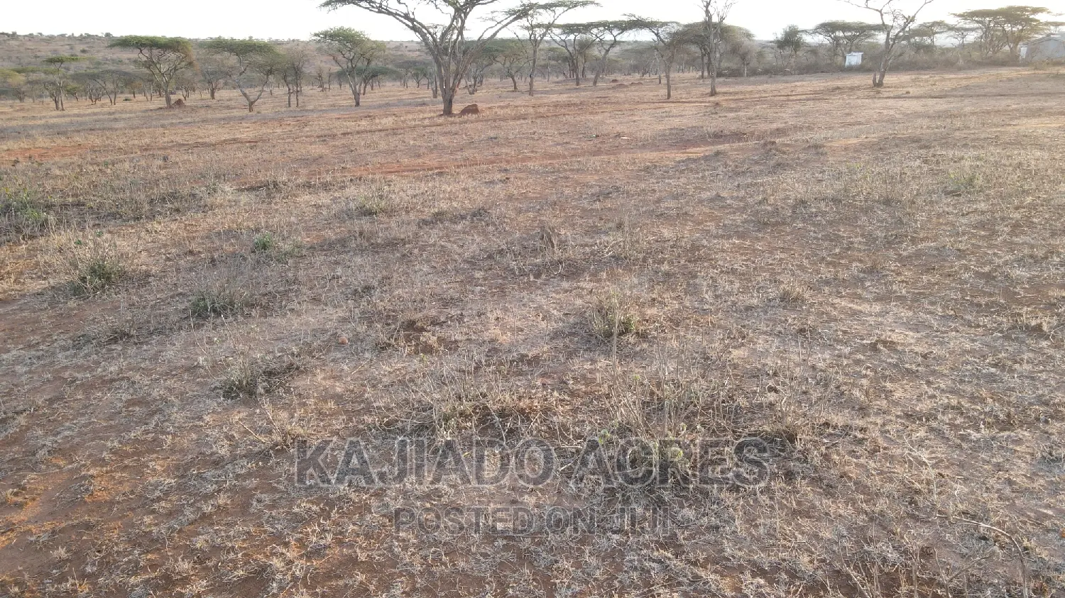 24 Acres in Sajiloni: Quality Land for Sale at $1.4m per Acre - Act Now! in DalaleKutuk