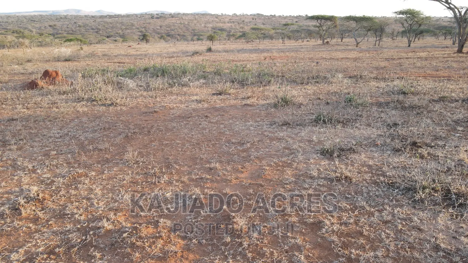 24 Acres in Sajiloni: Quality Land for Sale at $1.4m per Acre - Act Now! in DalaleKutuk