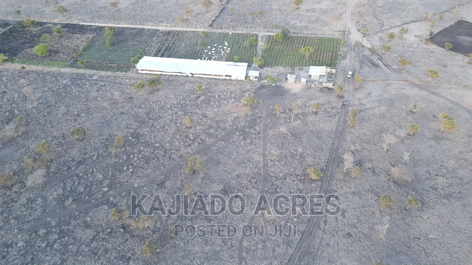 Inkinye 7-Acre Farmland - Agricultural Opportunity and Development Potential in DalaleKutuk