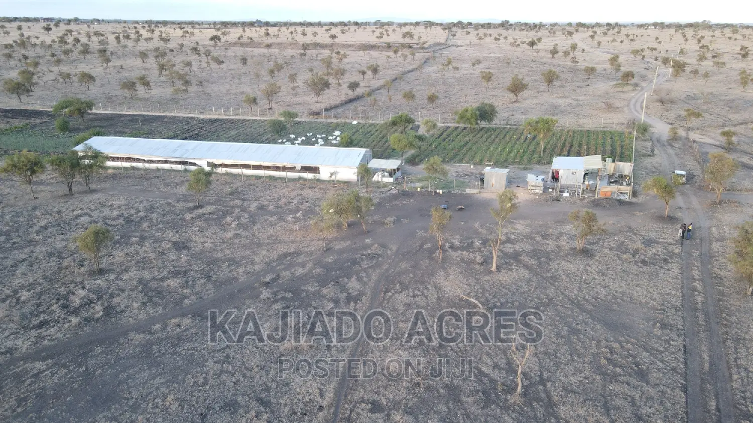 Inkinye 7-Acre Farmland - Agricultural Opportunity and Development Potential in DalaleKutuk