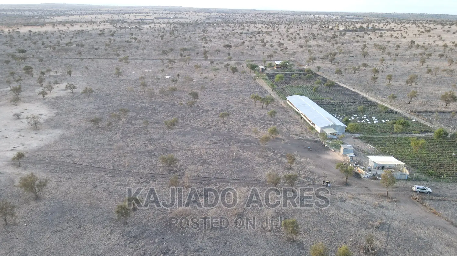 Inkinye 7-Acre Farmland - Agricultural Opportunity and Development Potential in DalaleKutuk