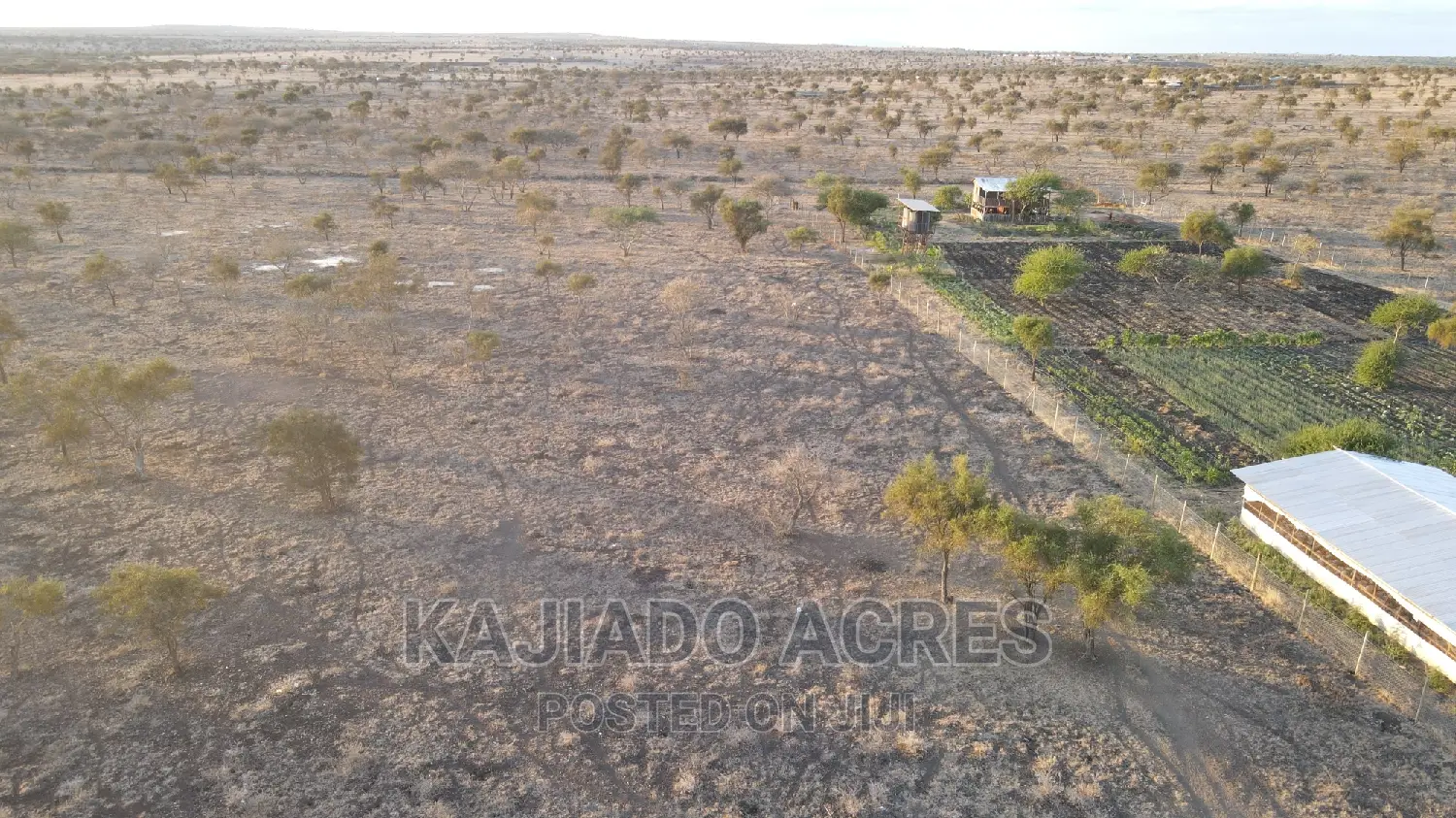 Inkinye 7-Acre Farmland - Agricultural Opportunity and Development Potential in DalaleKutuk