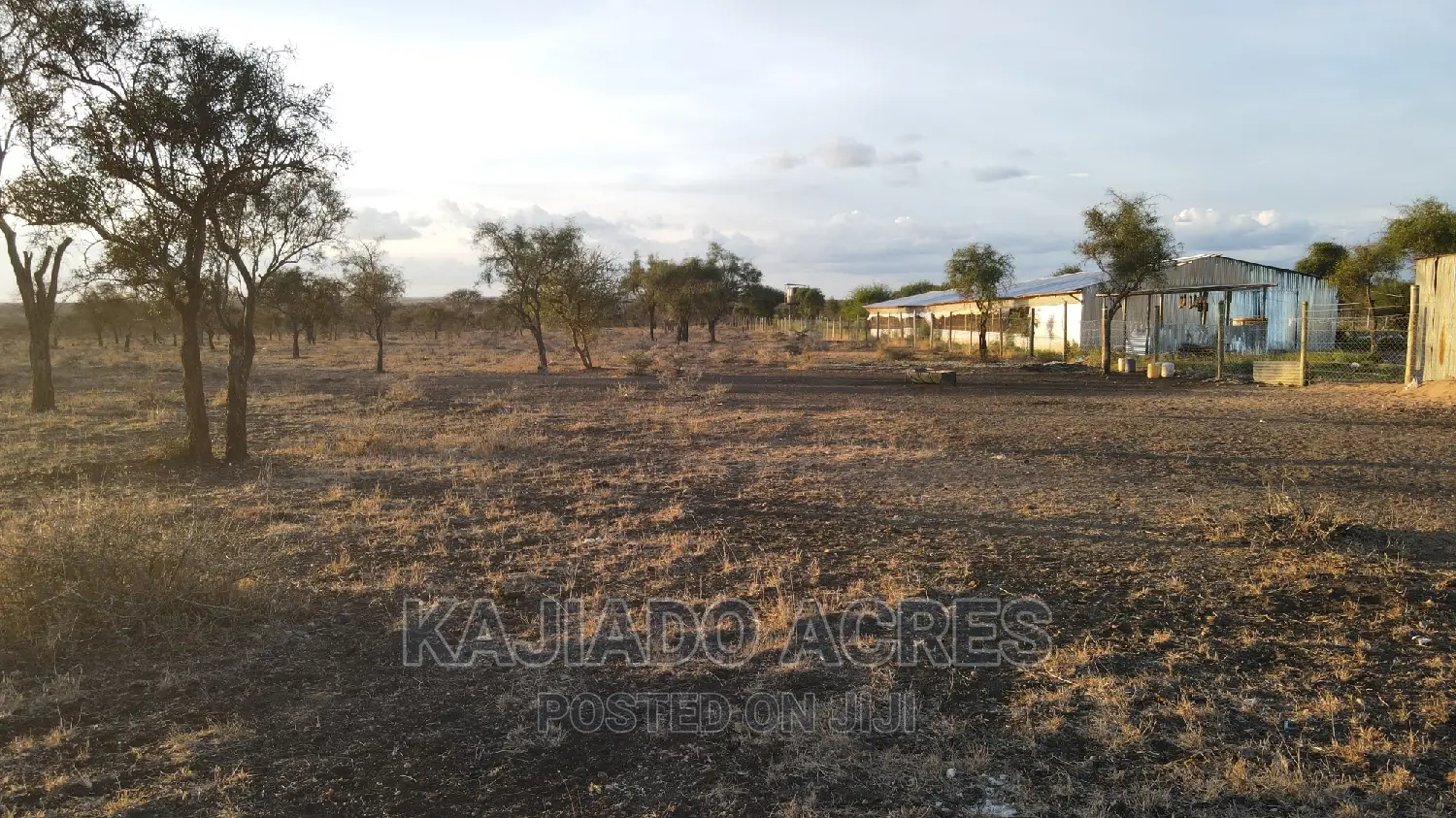 Inkinye 7-Acre Farmland - Agricultural Opportunity and Development Potential in DalaleKutuk