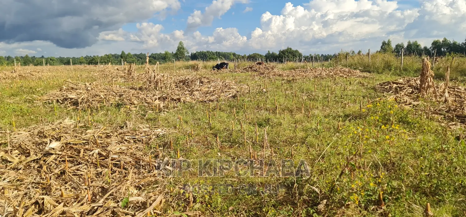 Kapseret Lemook Centre Land Plot Available for Sale in Eldoret in Kapseret