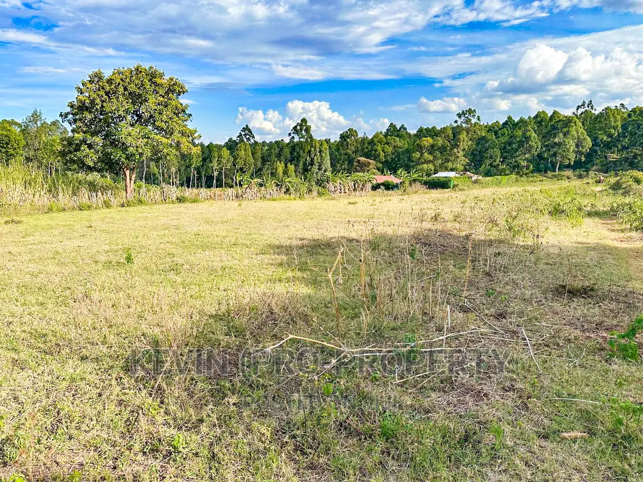 Half Acre Land in Kikuyu Thogoto - Buy Now, Build Your Dream Home in Kikuyu