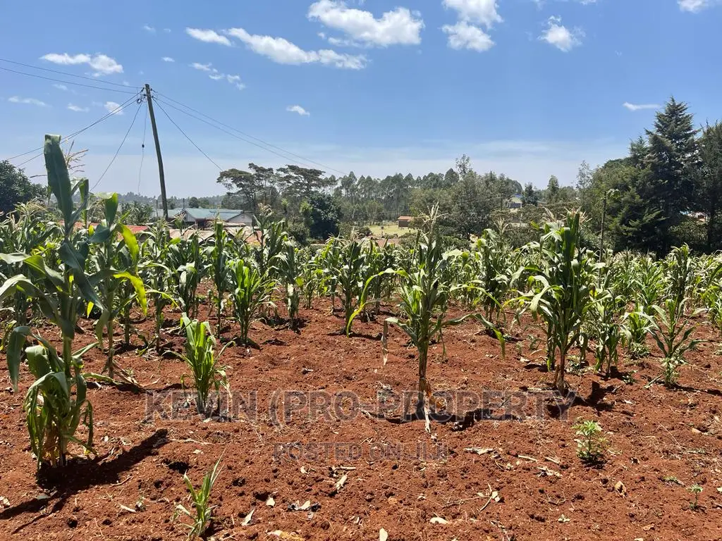 Commercial Property for Sale in Kikuyu, Gikambura - Grow Your Business Today! in Karai
