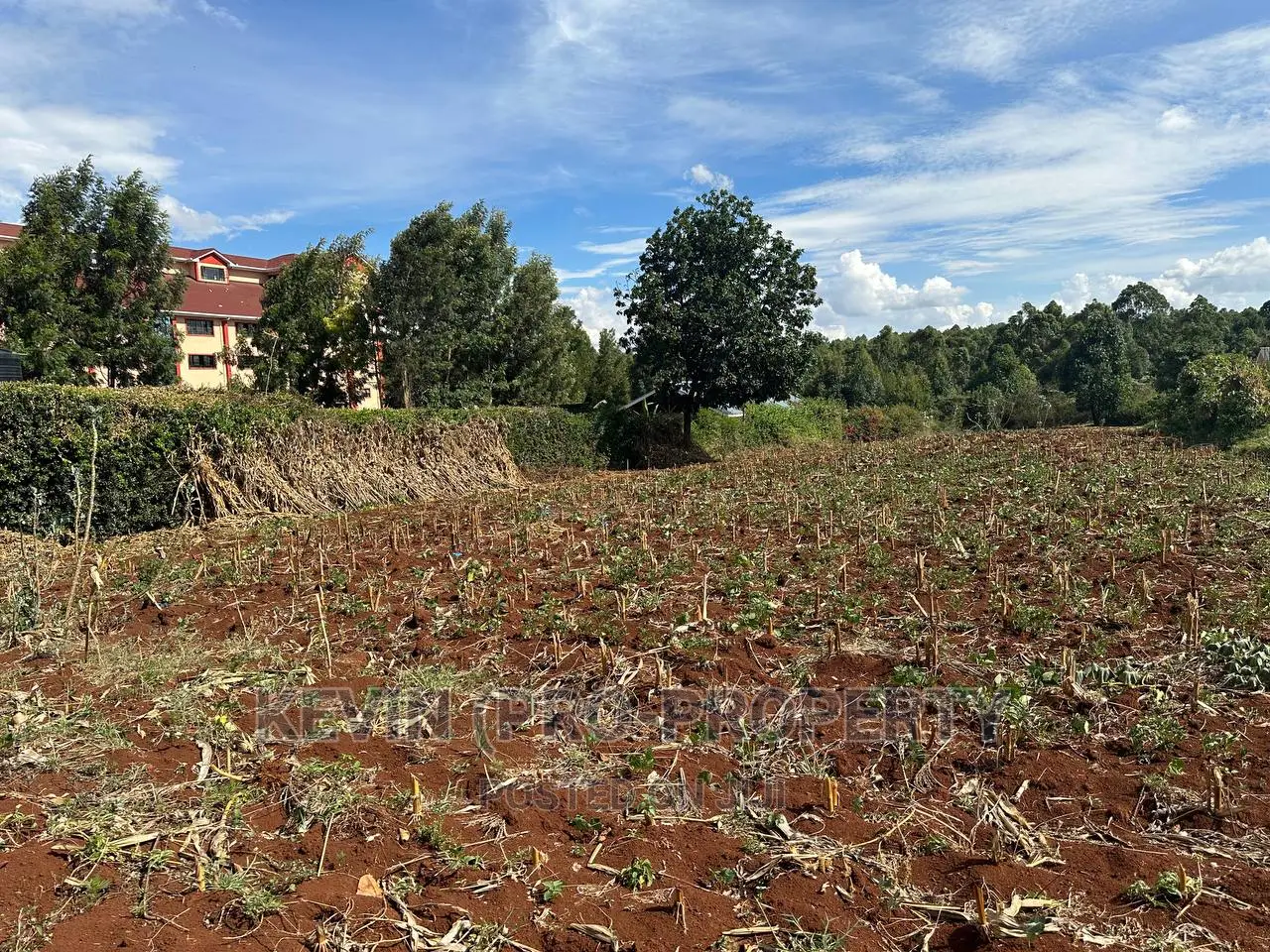 1 Acre Land for Sale in Thogoto, Kikuyu - Prime Real Estate Opportunity! in Kikuyu
