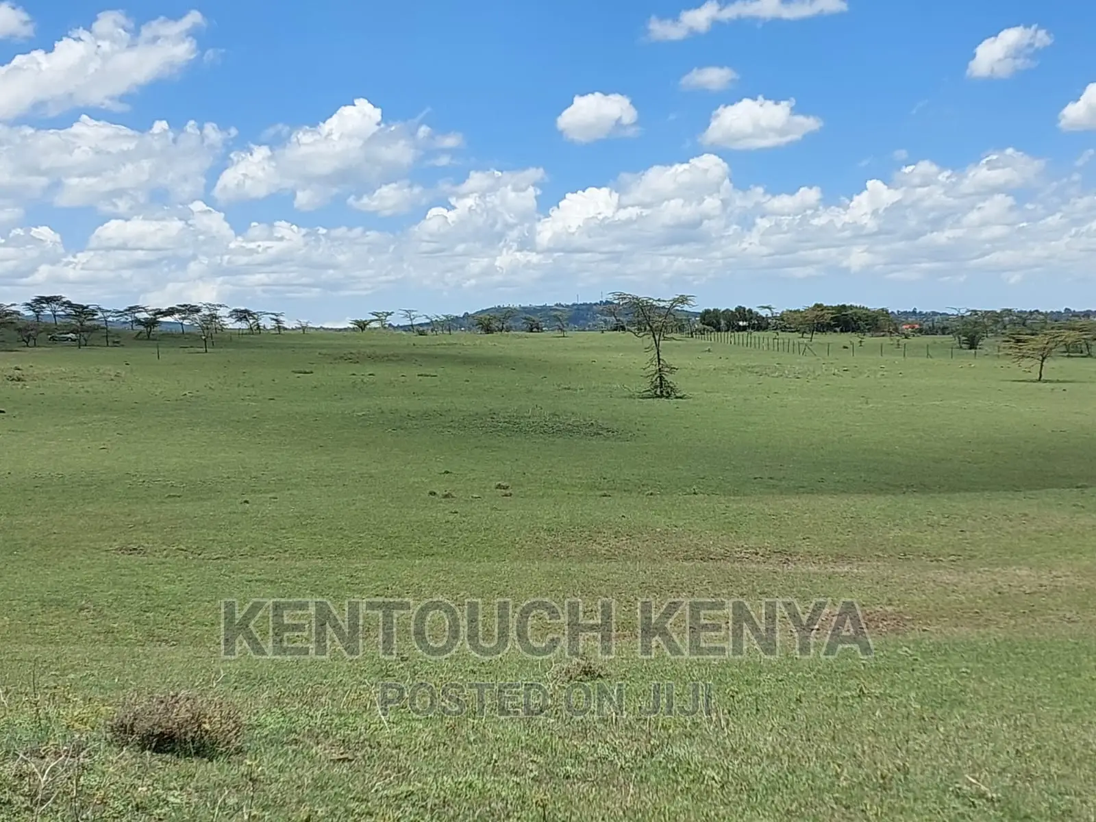 Purchase Land Plots in Wiyumiririe Makutano - Joswin Academy Area in Wiyumiririe