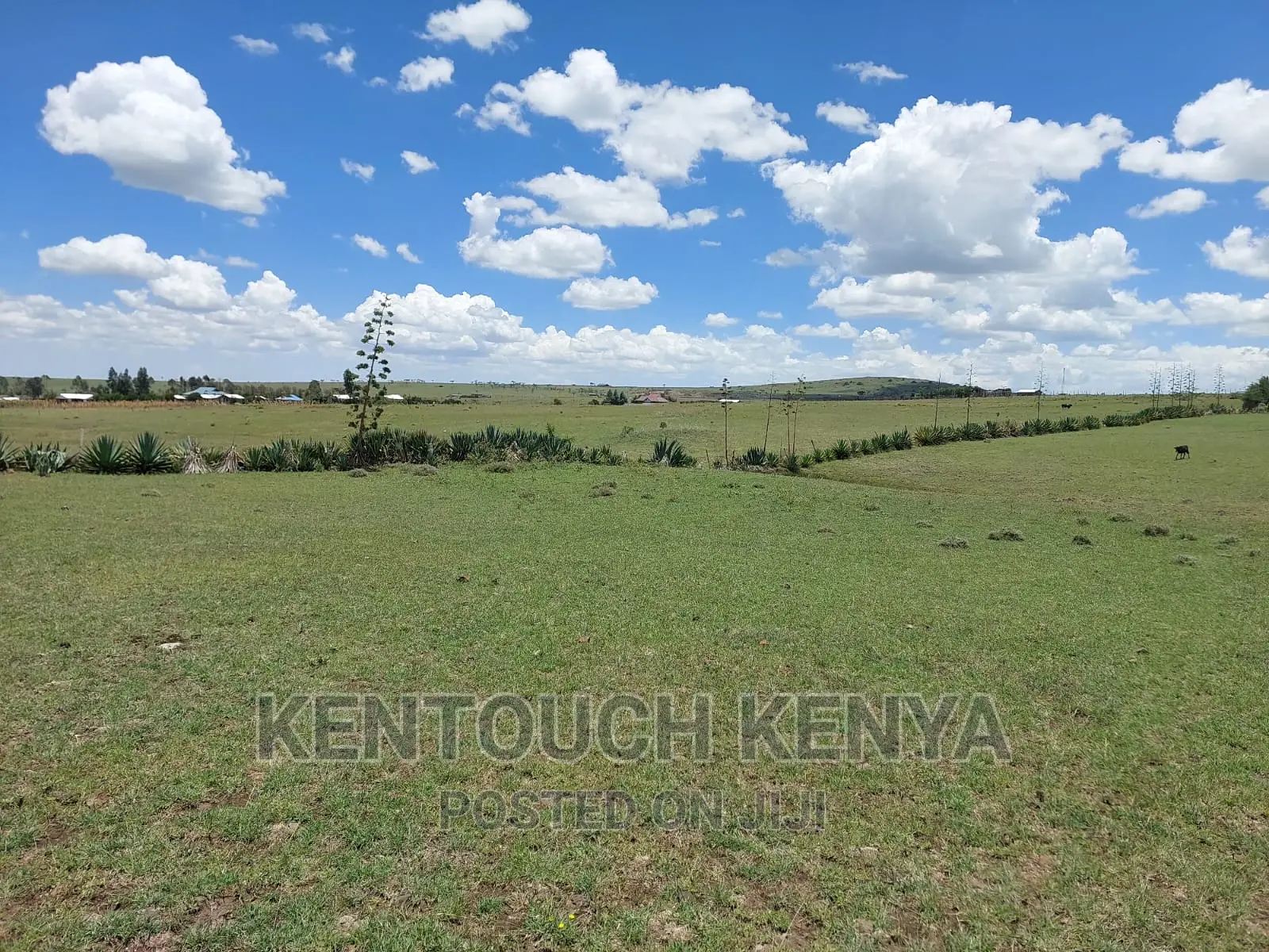 Purchase Land Plots in Wiyumiririe Makutano - Joswin Academy Area in Wiyumiririe