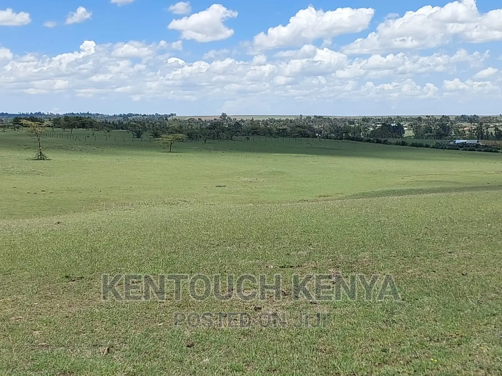 Purchase Land Plots in Wiyumiririe Makutano - Joswin Academy Area in Wiyumiririe