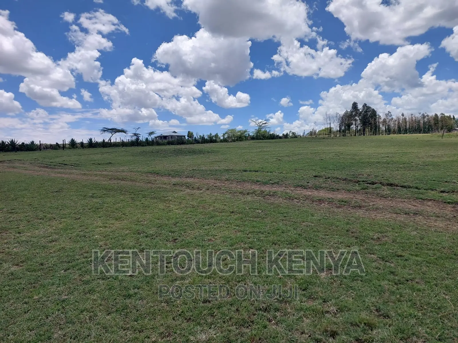 Purchase Land Plots in Wiyumiririe Makutano - Joswin Academy Area in Wiyumiririe