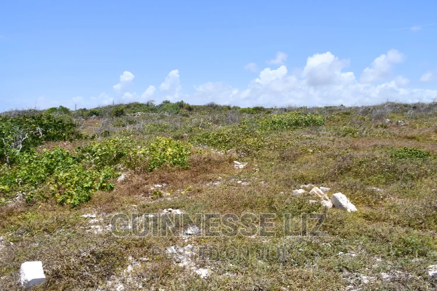 Coral Rock Acre Land: Shamba La Mawe - One Acre for Sale in Matsangoni