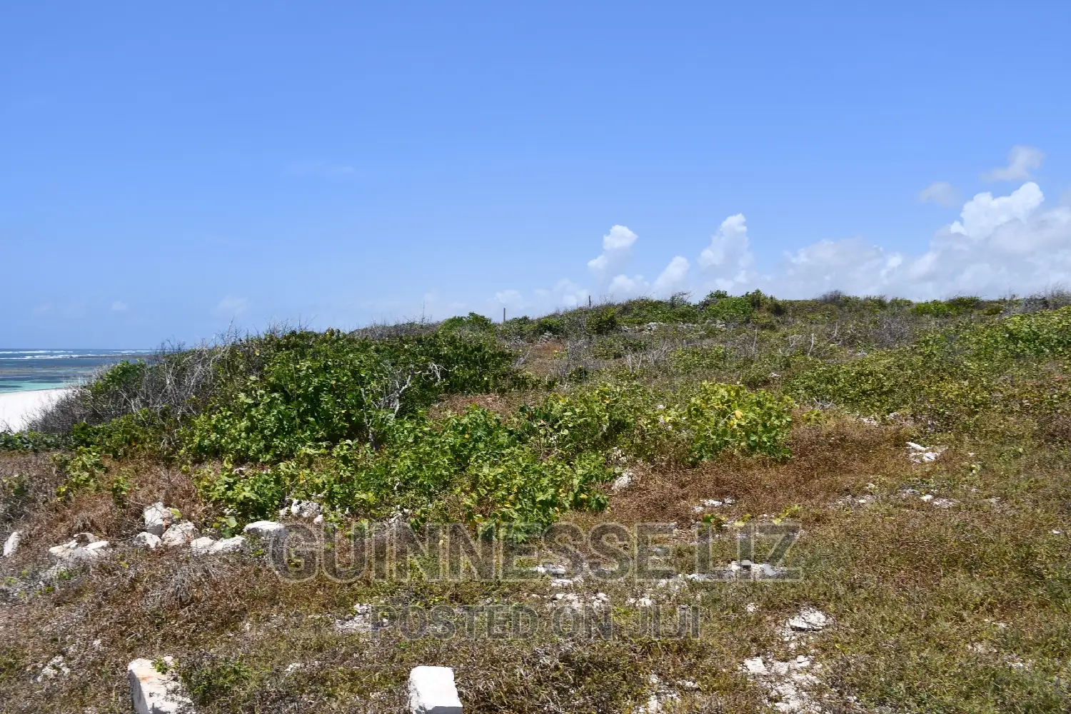 Exclusive Beachfront Land Offer: 3rd Row, 1 Acre, Seize the Moment in Matsangoni