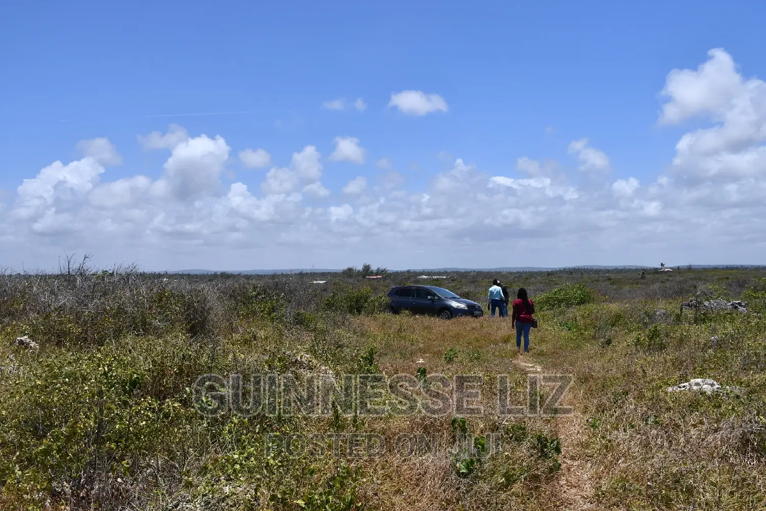Exclusive Beachfront Land Offer: 3rd Row, 1 Acre, Seize the Moment in Matsangoni