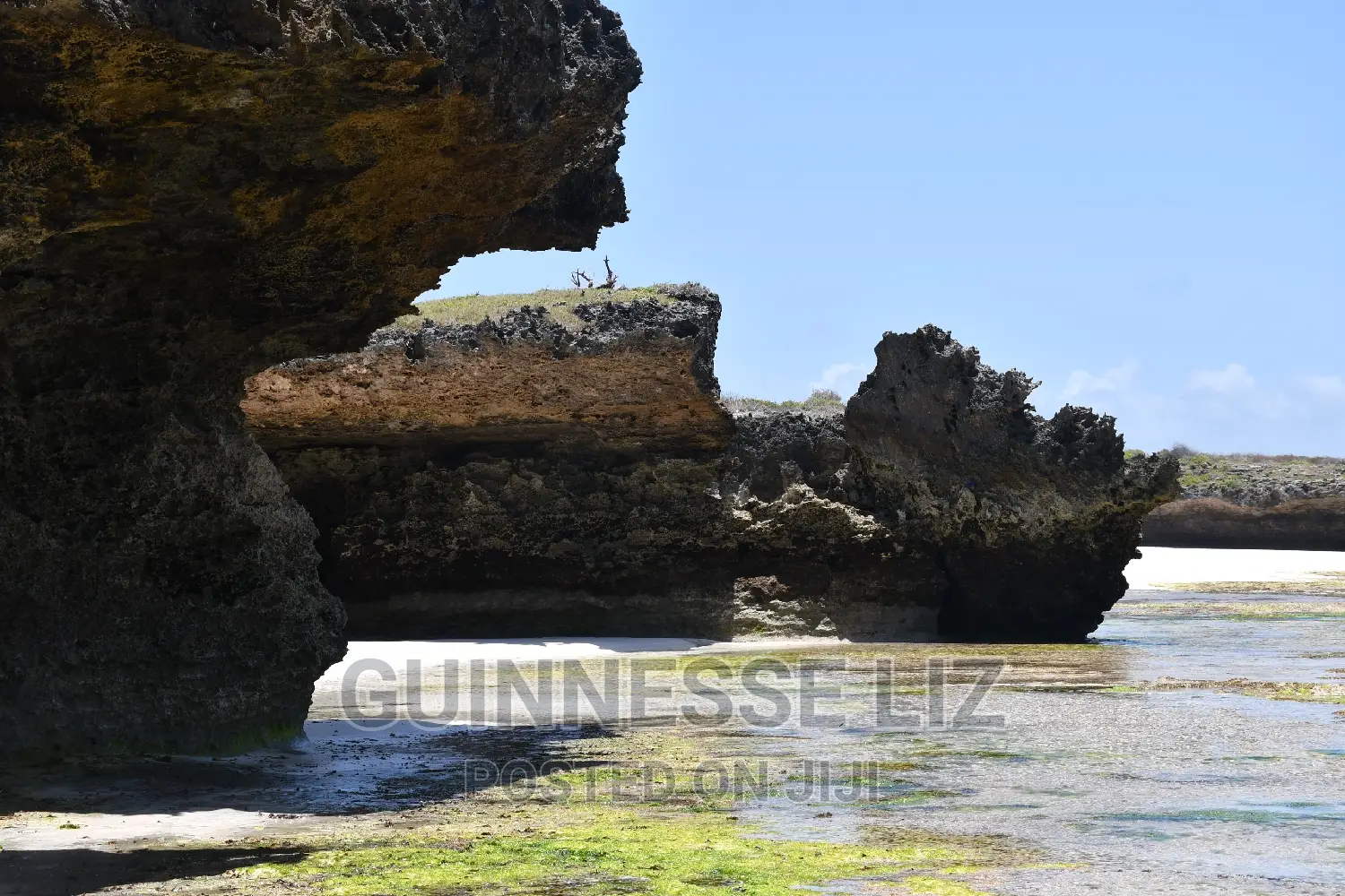 Exclusive Beachfront Land Offer: 3rd Row, 1 Acre, Seize the Moment in Matsangoni