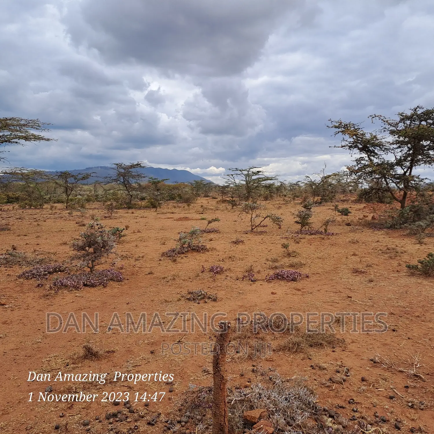 Prime 20-Acre Land for Sale in Ngong Kimuka in Kibiku