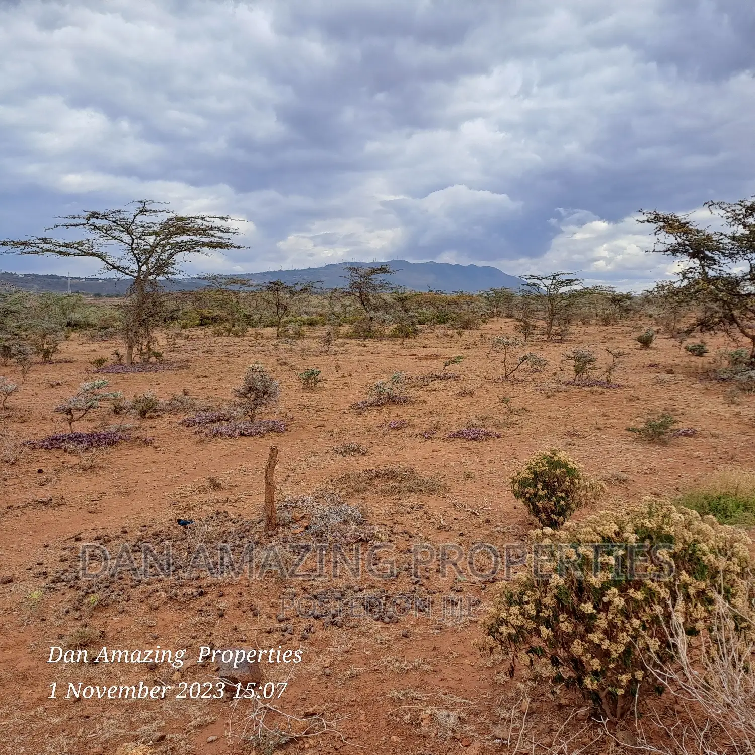 Prime 20-Acre Land for Sale in Ngong Kimuka in Kibiku