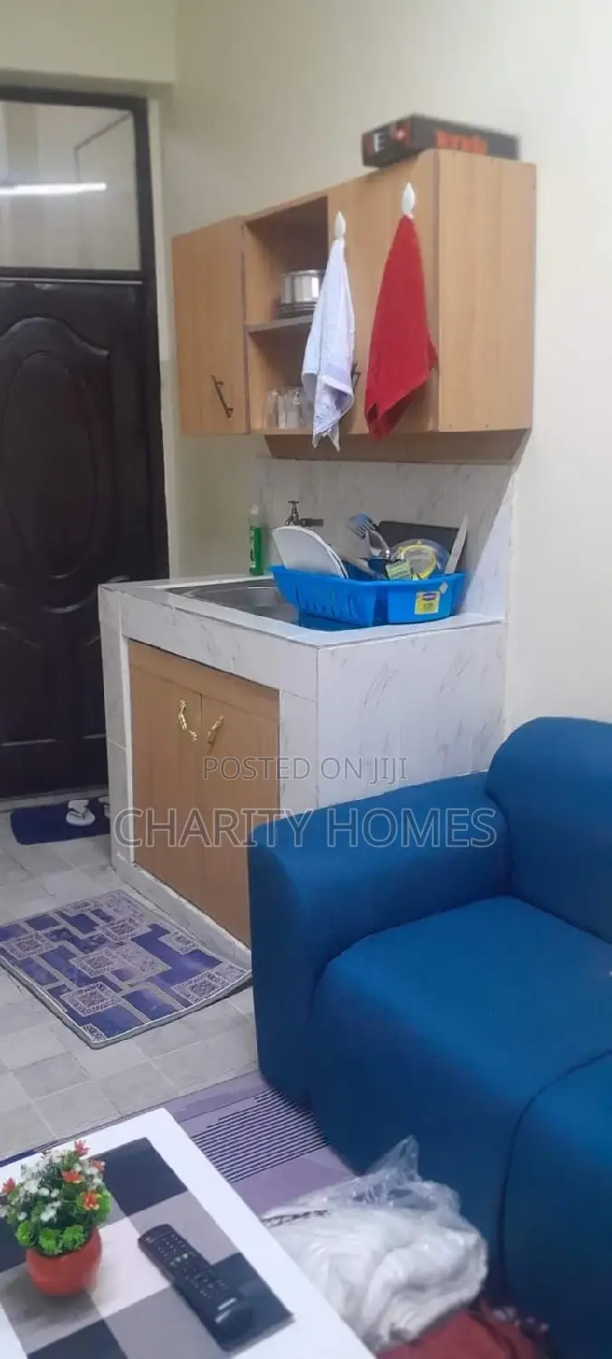 Studio Living in South B - Stylish Furnished Flat for Rent in South B