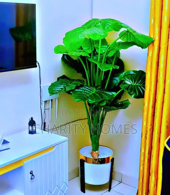 South B Furnished Studios: Stylish & Comfortable Living in South B